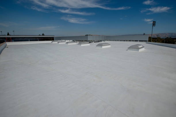 Best Gutter Replacement  in Perry, IA