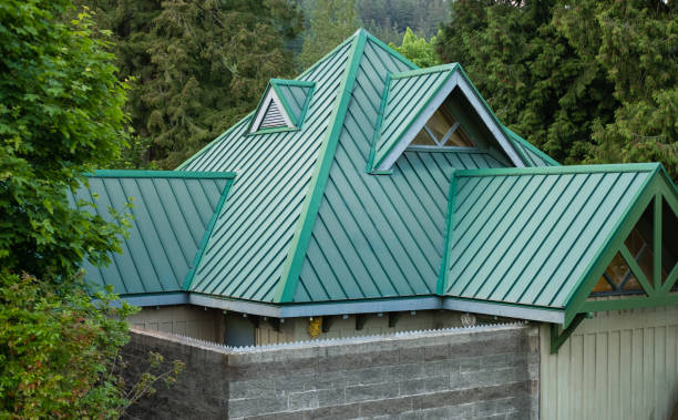 Best Roof Leak Repair  in Perry, IA