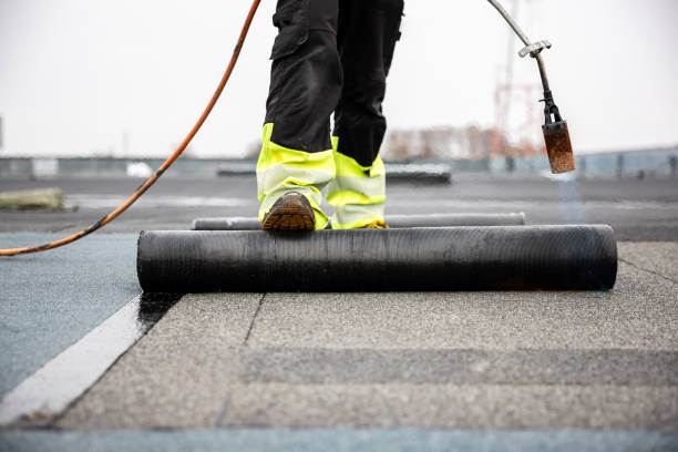 Best Storm Damage Roof Repair  in Perry, IA