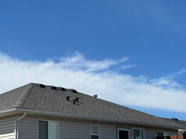 Best Roof Insulation Installation  in Perry, IA